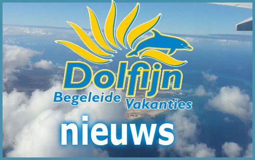 dolfijnvakanties button nieuws
